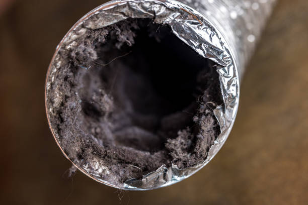 Best Air Duct Cleaning Near Me  in Westby, WI